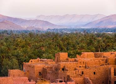Siwa Oasis Odyssey: A Timeless Tale of Desert Wonders.